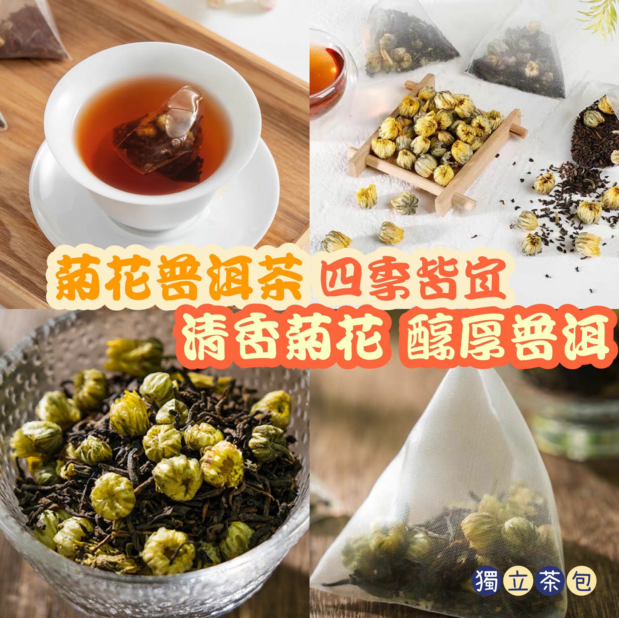 菊花普洱茶